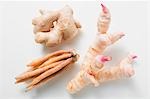 Ginger, galangal and fingerroot