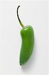 Green chilli (Jalapeño) with drops of water