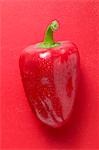 Red pepper with drops of water on red background