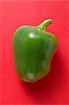 Green pepper on red background