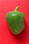 Green pepper with drops of water on red background