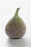 A fig