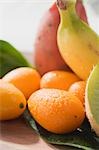 Exotic fruit still life with kumquats