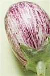 Purple and white striped aubergine