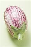 Purple and white striped aubergine