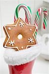 Gingerbread star and candy canes in red rubber boot