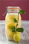 Pickled lemons in jar, small branch with fresh lemon