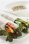 Rice paper rolls filled with vegetables, glass noodles & herbs, sauce