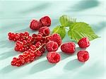 Redcurrants, raspberries and raspberry leaf