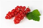 Redcurrants with leaf