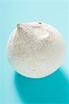 Shelled coconut