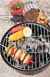 Légumes sur le barbecue, les viandes et les brochettes dans un plat