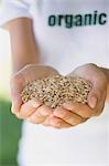 Hands holding cereal grains