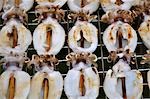 Squid skewers