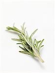 A sprig of rosemary