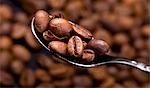 Grains de café sur la cuillère sur fond de café en grains