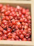 Red peppercorns