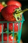 Fresh Strawberries in Plastic Basket