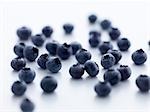 Fresh blueberries