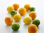 Citrons, limes et oranges