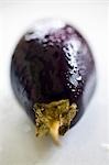 An aubergine with drops of water