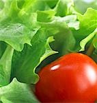 Green salad with cherry tomato