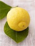 A lemon with leaves