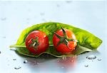 Two cherry tomatoes on a basil leaf