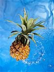 Ein Baby-Ananas in Wasser