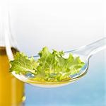 Lettuce leaf with oil on spoon