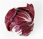 A head of radicchio