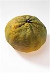 A pomelo