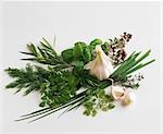 Still life with various culinary herbs and garlic