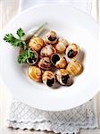 Cooked snails with parsley and garlic