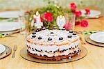 Gâteau aux bleuets pour fêter un anniversaire