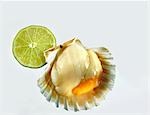 Coquilles Saint-Jacques en coquille, tranche de citron vert