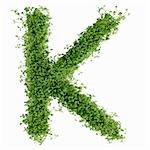 The letter K in cress