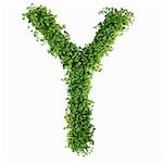 The letter Y in cress