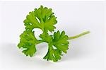 A curled parsley leaf