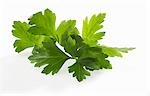 Flat parsley leaves