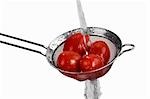 Washing tomatoes in a sieve