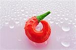 Red chilli on wet surface