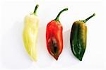 Hungarian pointed peppers