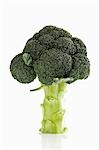 Une tête de brocoli