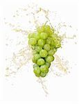 Green grapes with splashing juice