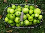 Green apples in basket on grass (overhead view)