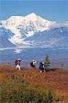 Senior hikers on Little Coal Creek trail in Denali State Park Interior Alaska Autumn