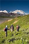 Familie der dreitägigen Wanderer ein paar Mann und junge am Sommer von Grassy Pass Denali Nationalpark, Alaska