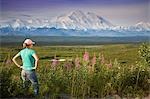 Weibliche Besucher anzeigt Mt.Mckinley & Alaskakette durch Ferngläser neben Schmalblättriges Weidenröschen Blumen Denali Nationalpark Alaska