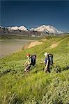 Zwei Rucksacktouristen Wandern in Tundra und Wildblumen am Grassy Pass in der Nähe von Eielson Visitor center Denali NP Alaska